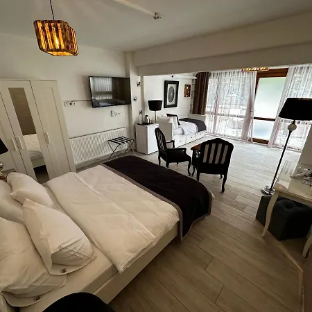 Fizzio 2* 알라카티