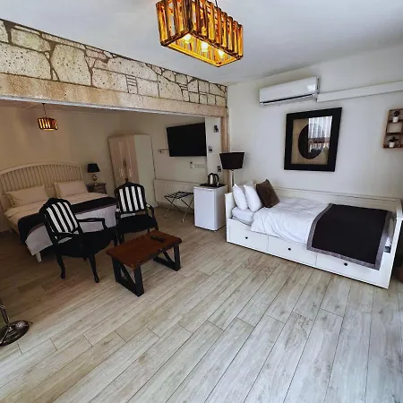 Fizzio 2* 알라카티