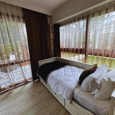 Hotel Fizzio