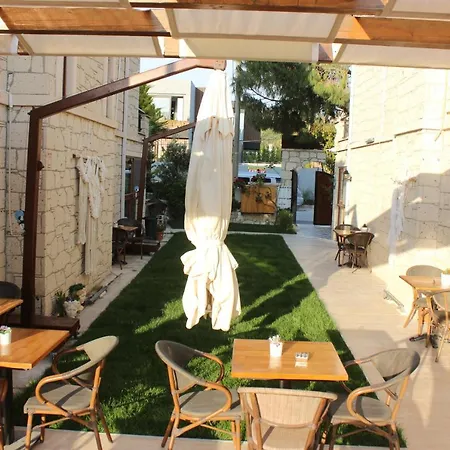 Hotel Fizzio