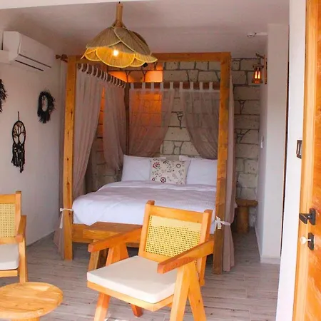 Hotel Fizzio