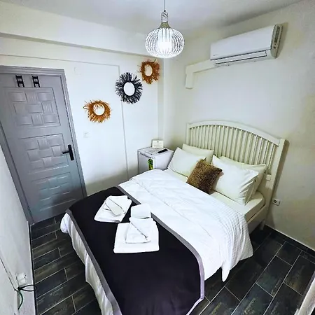 Fizzio 2* 알라카티